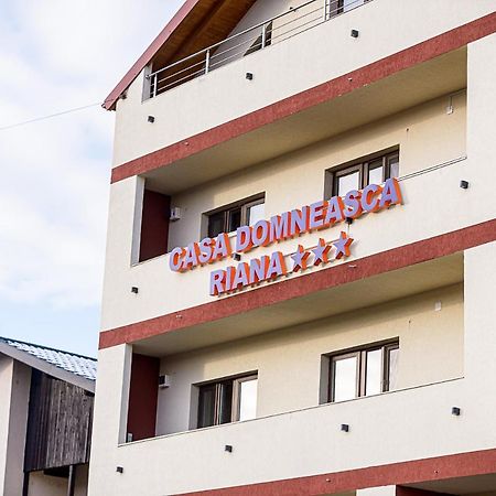 Casa Domneasca Riana Piteşti Exterior foto