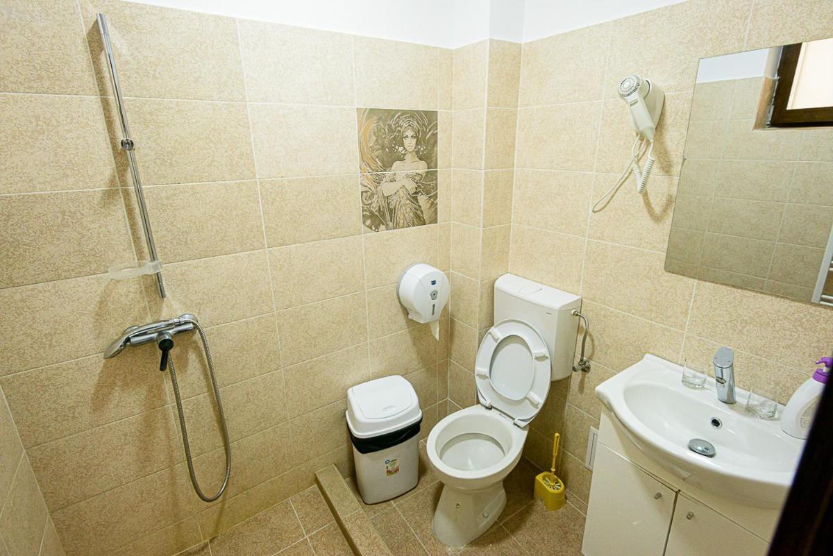 Casa Domneasca Riana Piteşti Exterior foto
